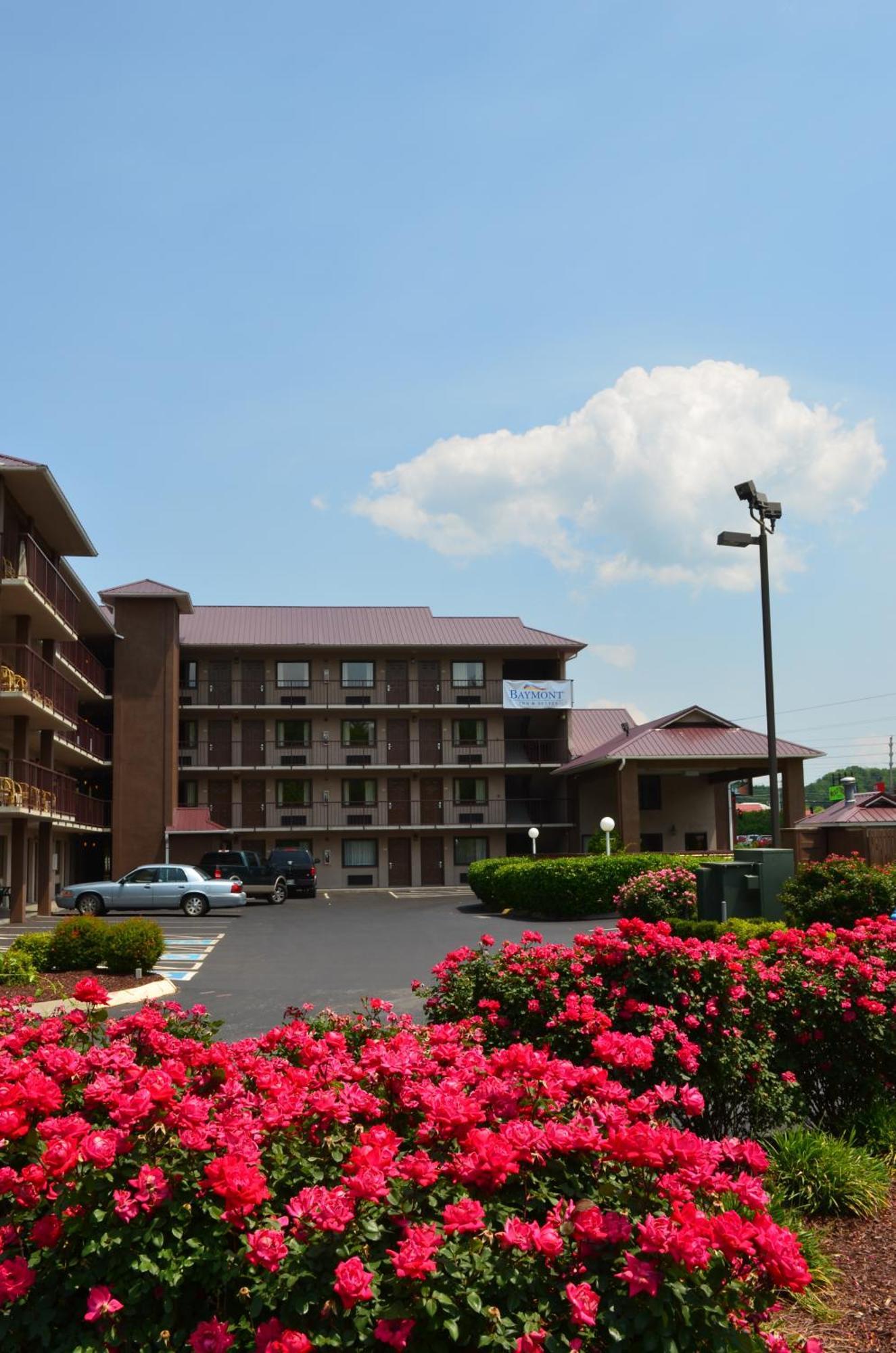 Baymont By Wyndham Pigeon Forge Near Island Drive Hotel Buitenkant foto